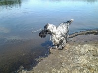 /album/ilpo/whoo13-381-jpg/